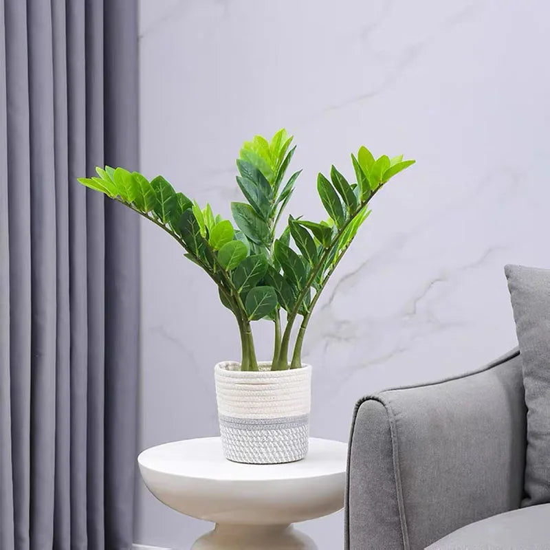 plantes artificielles ficus et zamioculcas pour décoration intérieure