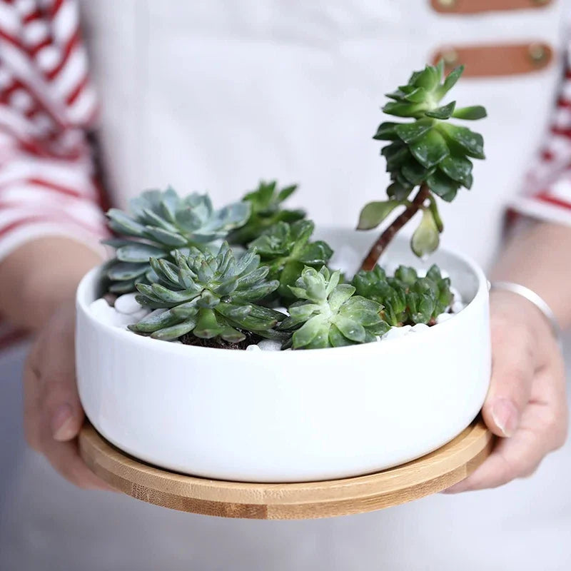 pot en céramique pour plantes succulentes avec plateau en bambou