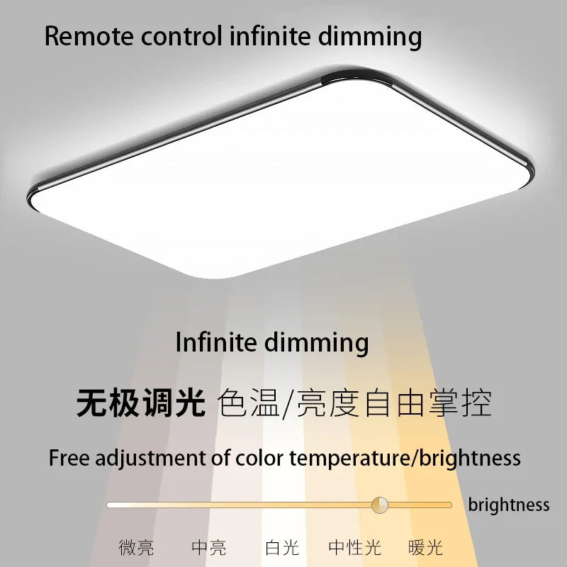 Modern Living Room Light 2024 Ultra Thin LED Ceiling Light Remote Control Dimming Restaurant Bedroom Balcony Panel Light