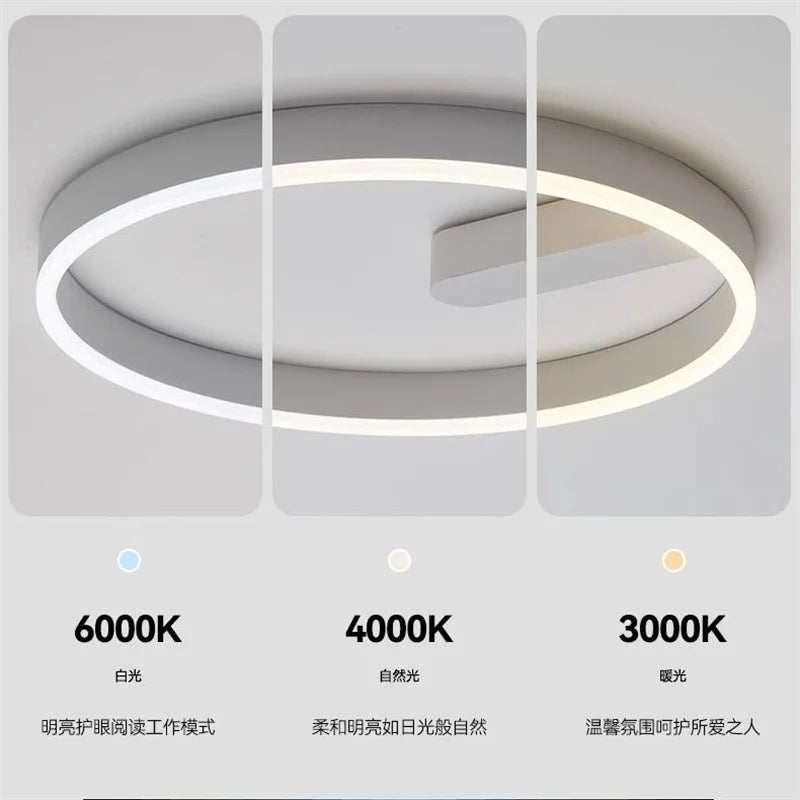 2024 LED ceiling light creative new style bedroom light, living room lighting, modern and simple black white bedroom light