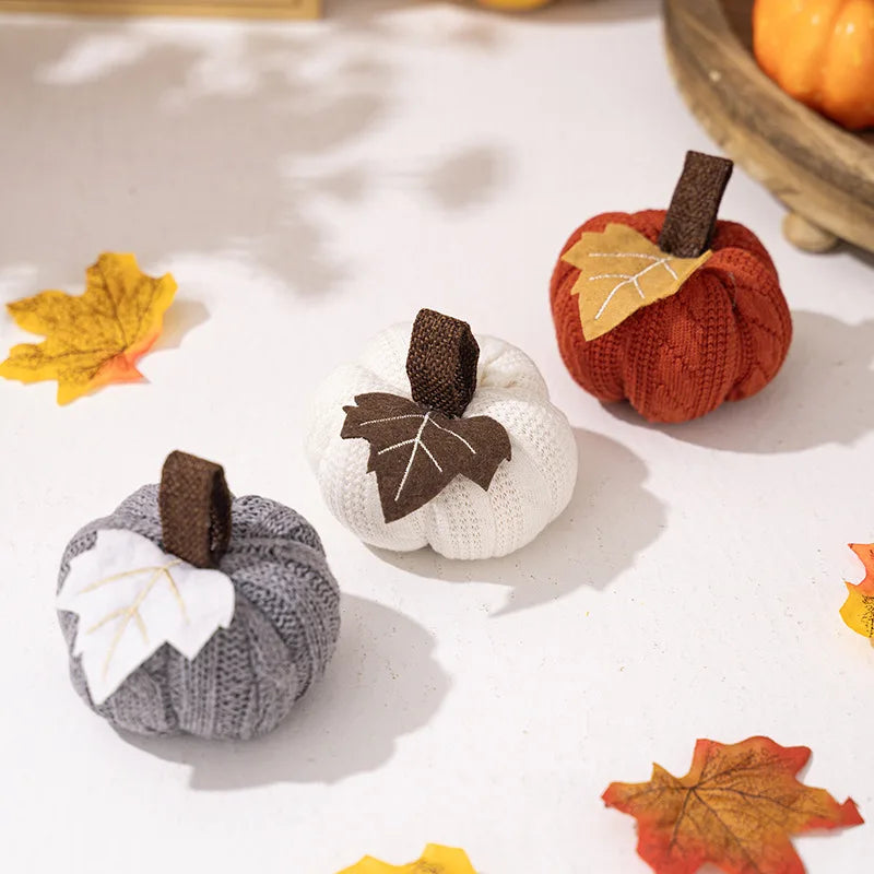 citrouilles décoratives pour automne thanksgiving et halloween