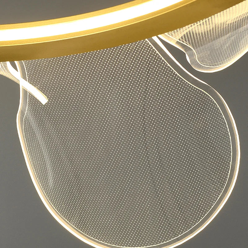 lustre en acrylique transparent avec anneau doré gradation variable