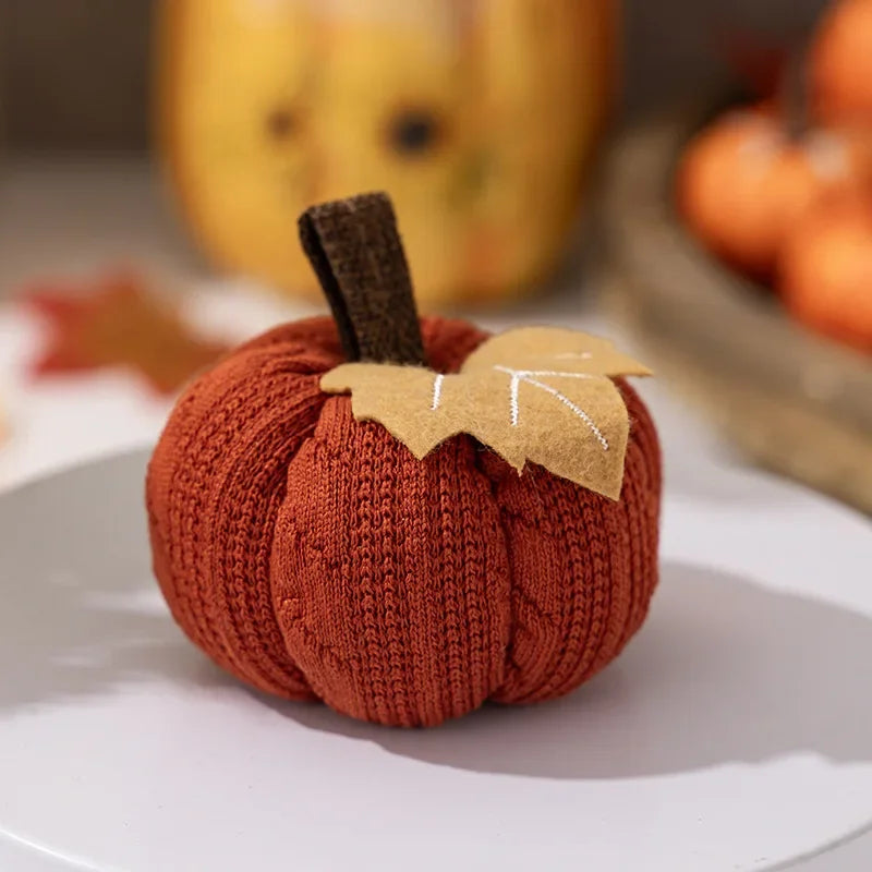 citrouilles décoratives pour automne thanksgiving et halloween