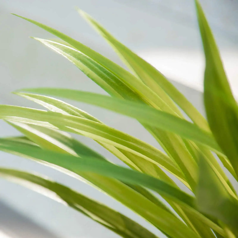 plantes artificielles chlorophytum pour décoration intérieure et extérieure