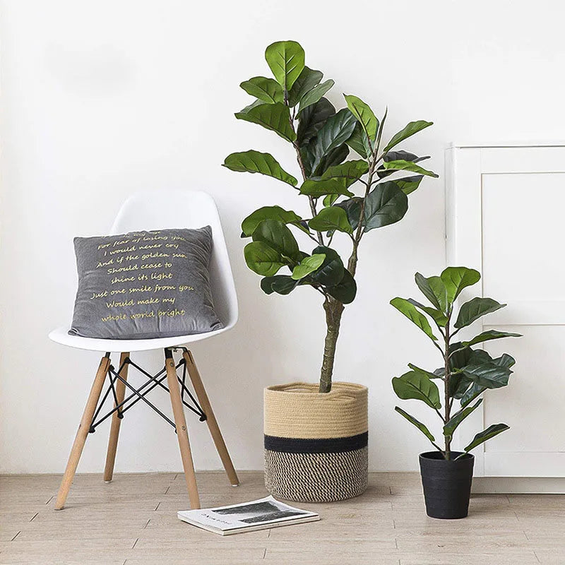 panier en corde de coton pour plantes et rangement intérieur