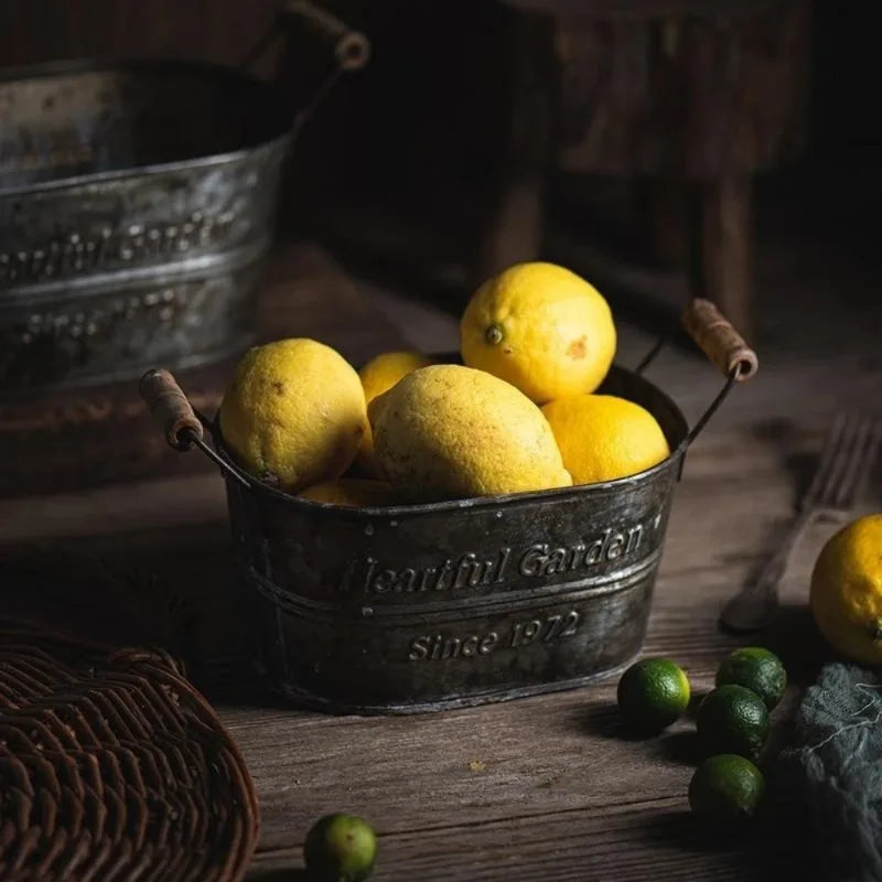 panier de rangement en métal vintage pour fleurs et fruits