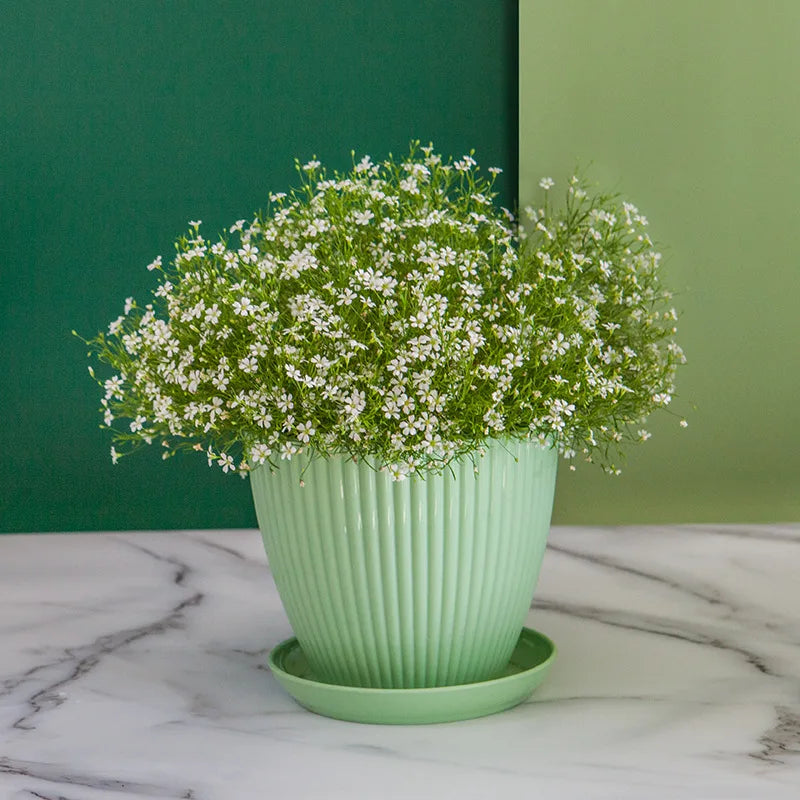 pot de fleurs rond pour succulentes avec plateau décoratif extérieur