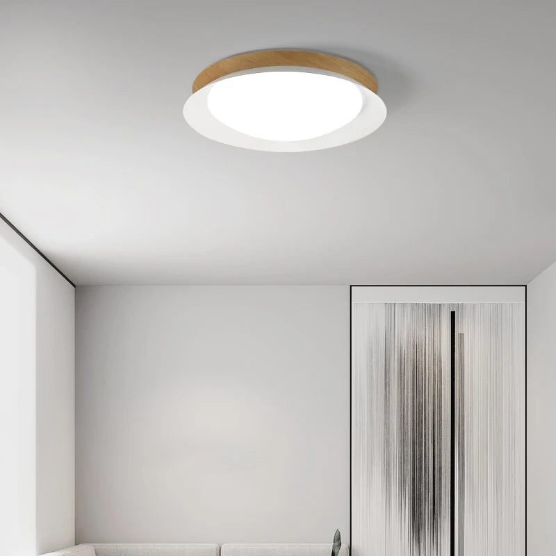 plafonnier led minimaliste nordique lampe ronde luminaire d'intérieur