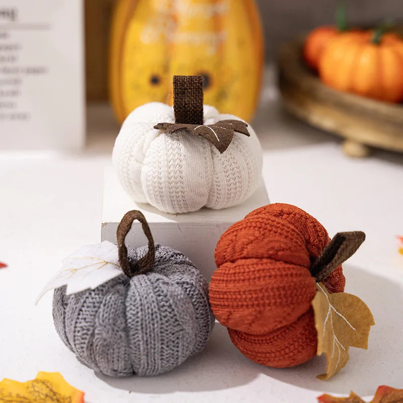 citrouilles décoratives pour automne thanksgiving et halloween