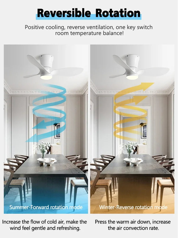 24CM Low Floor Loft Remote Control Lux&vitae Fan With Lights Modern Led Ceiling Fan Without Lights DC Motor 6 Speeds Timing Fans