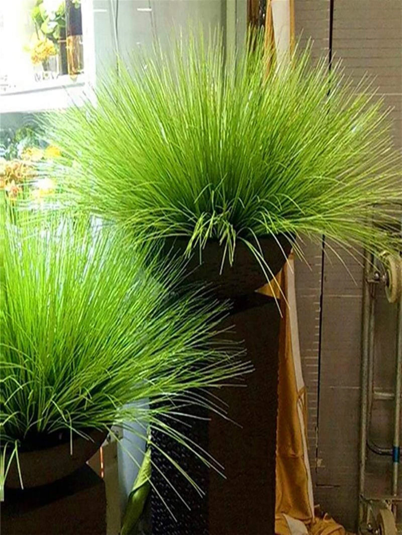 plantes artificielles herbe d'oignon pour mariage jardin décoration intérieure