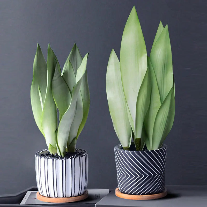 plantes artificielles succulentes en plastique pour décoration intérieure