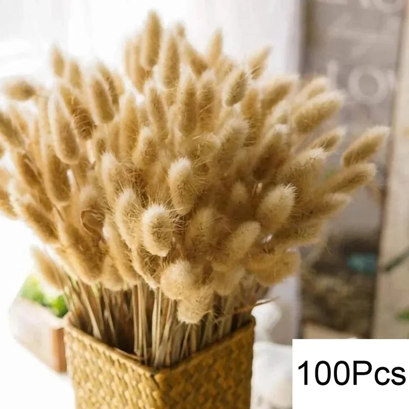 lot de 100 bouquets dherbe de pampa pour décoration bohème mariage