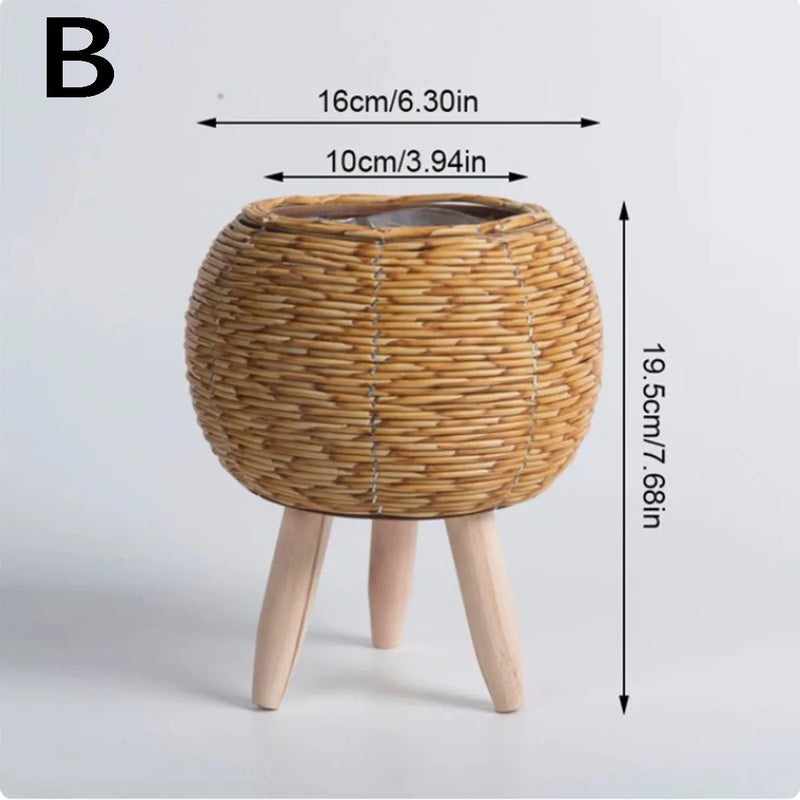 cadre créatif de rangement pour plantes et fleurs