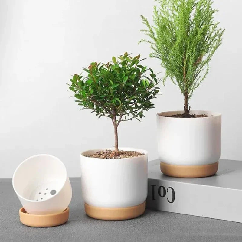 pot rond à double couche pour plantes succulentes