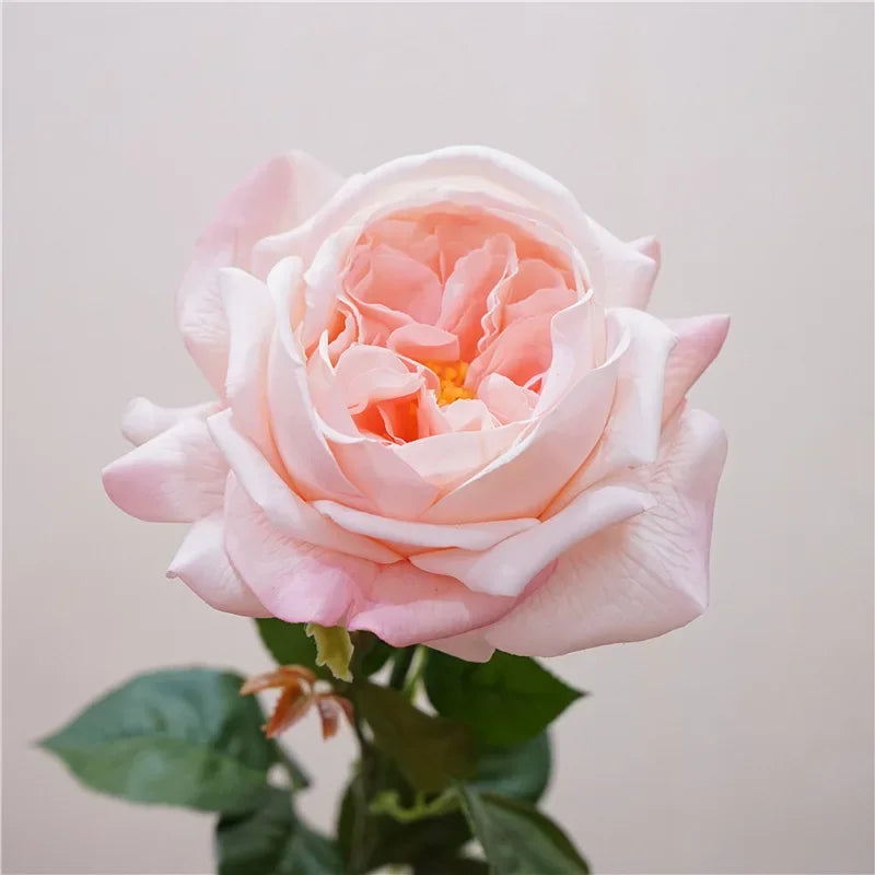 branche de rose artificielle pour un cadeau romantique et décoratif