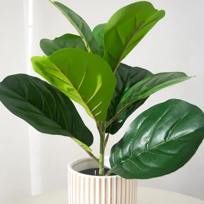 plantes artificielles ficus en plastique pour décoration intérieure et extérieure