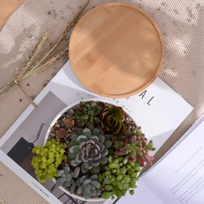 pot en céramique pour plantes succulentes avec plateau en bambou