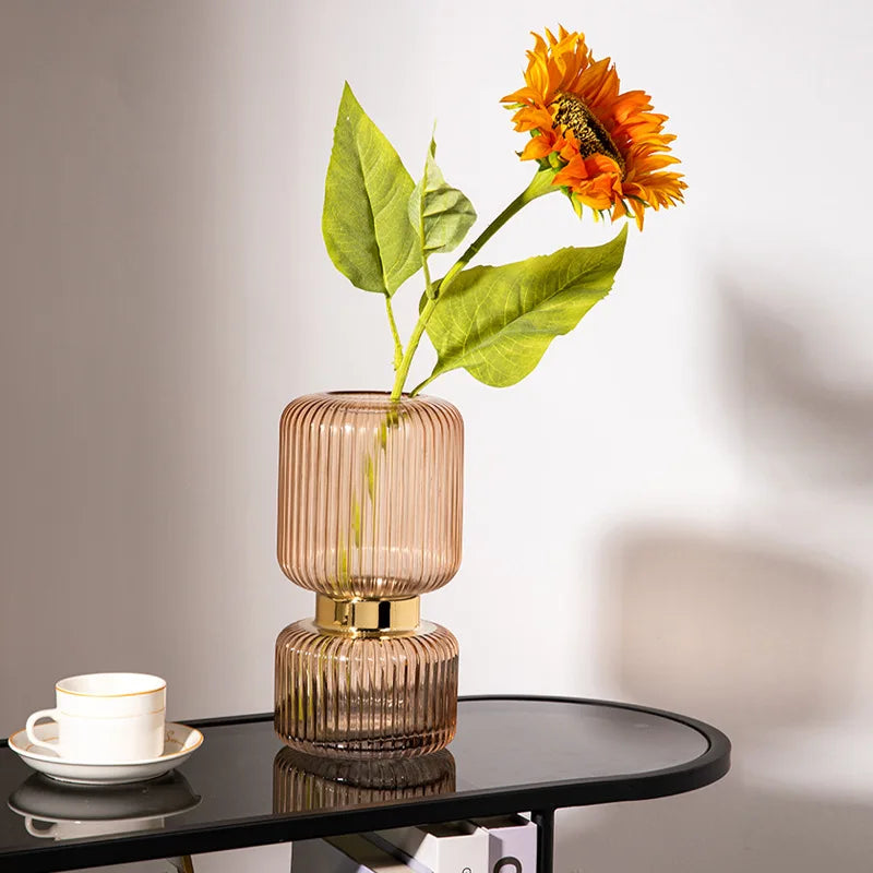 vase en verre transparent pour fleurs et décoration hydroponique