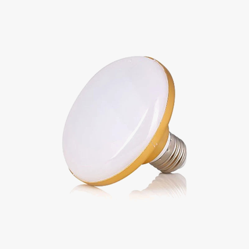 ampoule-led-globe-lumi-re-design-moderne-pour-int-rieur-1.png