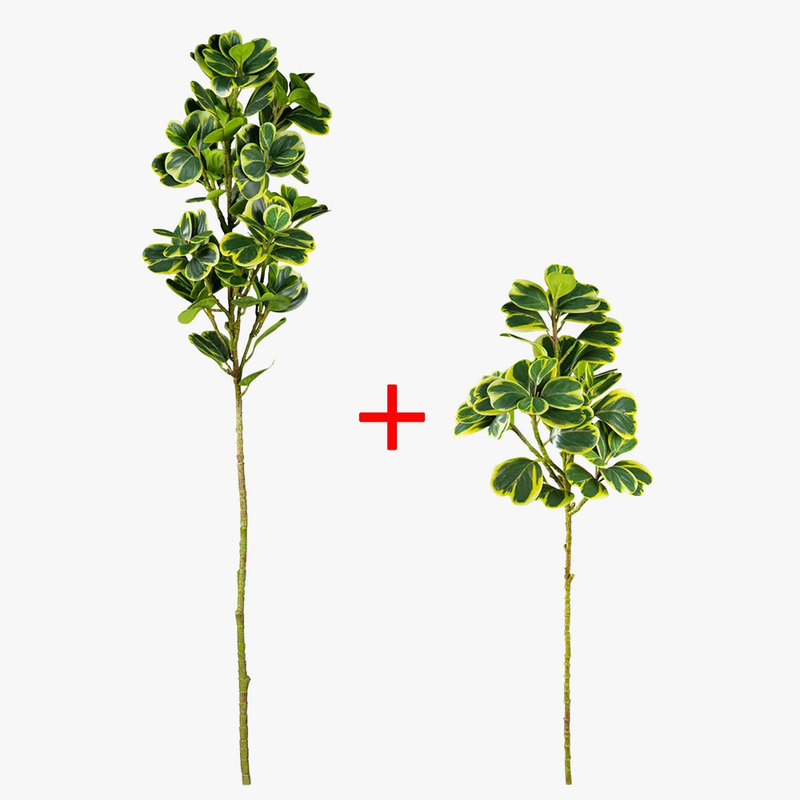 arbre-artificiel-ficus-en-plastique-pour-d-coration-ext-rieure-8.png