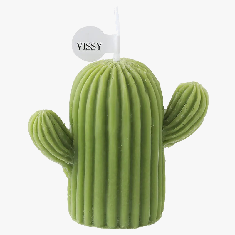 bougies-parfum-es-cactus-faites-la-main-d-coratives-pour-la-maison-5.png