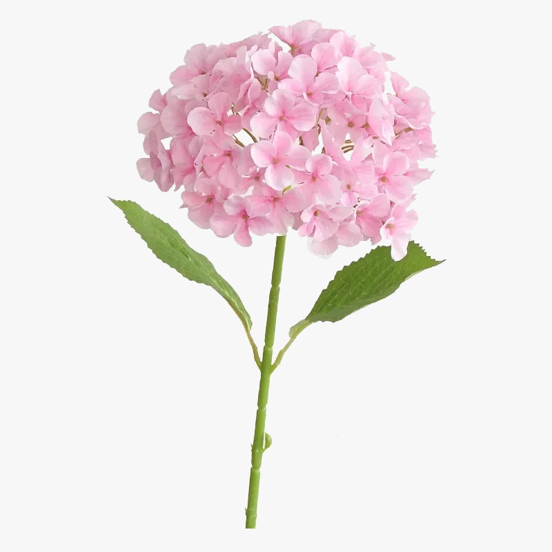 branche-d-hortensia-artificielle-pour-d-coration-int-rieure-et-bureau-0.png