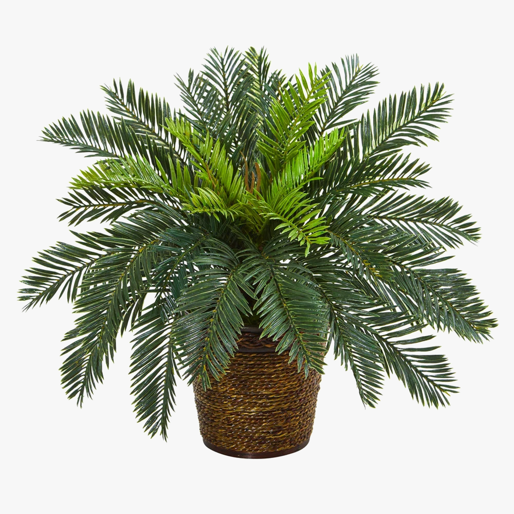 branche-de-palmier-artificielle-pour-d-coration-tropicale-et-festive-0.png