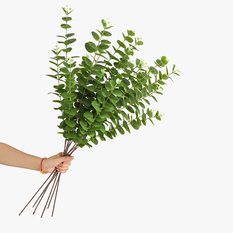 branche-de-plante-artificielle-en-eucalyptus-pour-d-coration-int-rieure-et-jardin-1.png