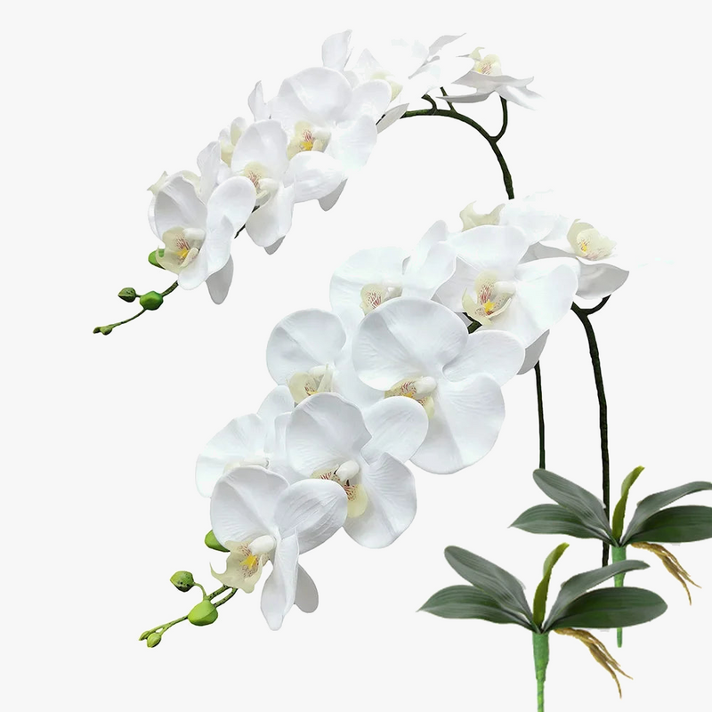 branches-de-fleurs-artificielles-orchid-es-pour-d-coration-et-v-nements-0.png