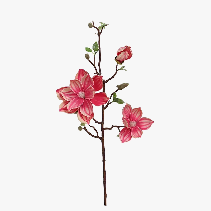 branches-de-magnolias-artificielles-pour-d-coration-int-rieure-1.png