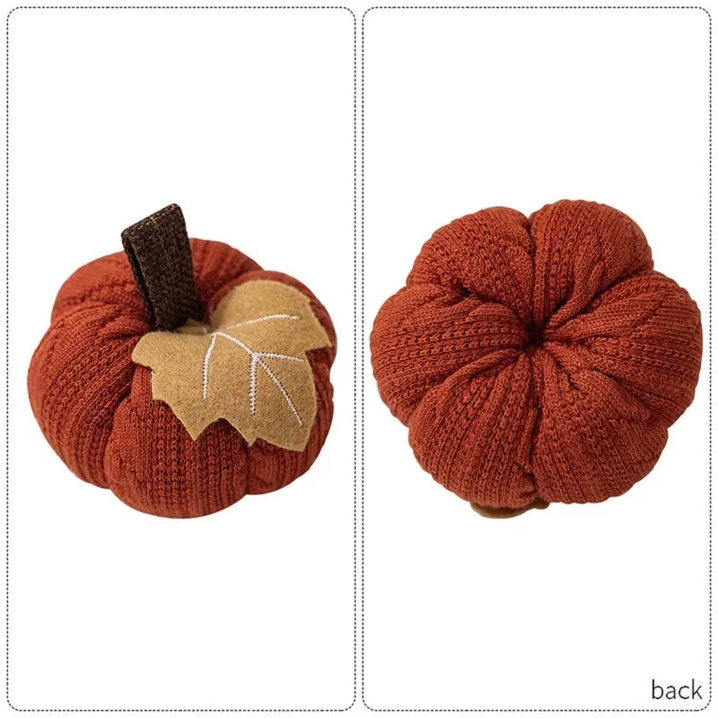 citrouilles-d-coratives-pour-automne-thanksgiving-et-halloween-5.png