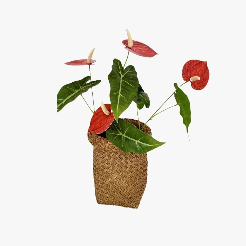 fleurs-artificielles-anthurium-pour-d-coration-de-f-te-et-vacances-1.png