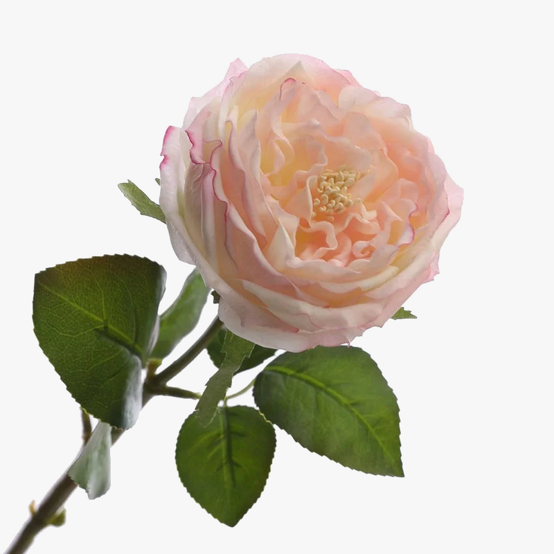 fleurs-de-pivoine-en-soie-pour-d-coration-florale-l-gante-6.png