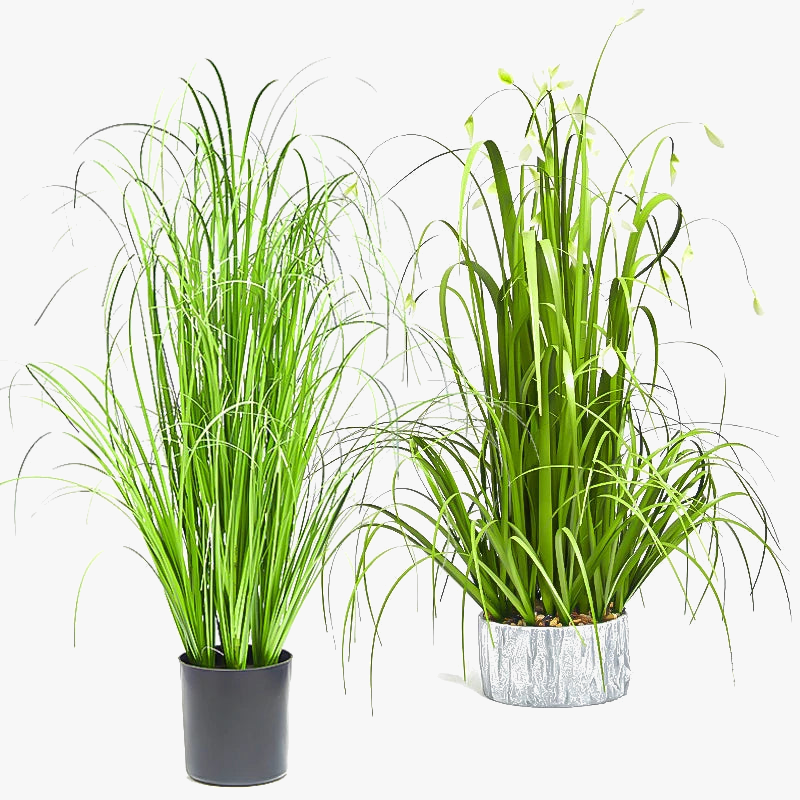 grande-herbe-artificielle-oignon-faux-pissenlit-d-coration-tropicale-1.png