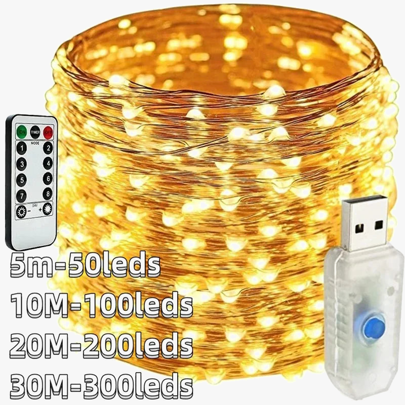 guirlande-lumineuse-led-en-fil-de-cuivre-pour-d-corations-festives-0.png