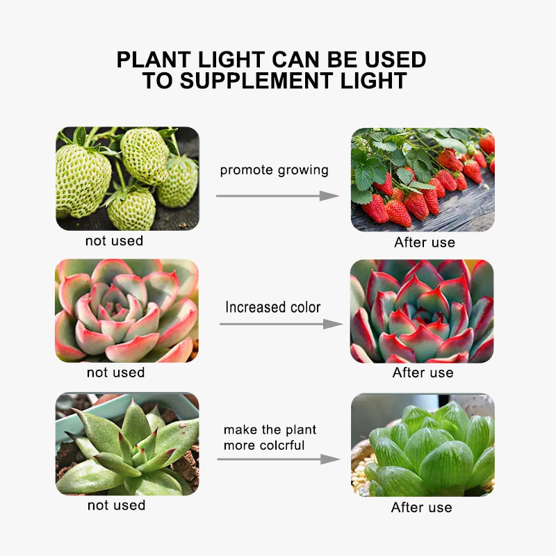 lampe-de-croissance-spectre-complet-pour-plantes-2.png