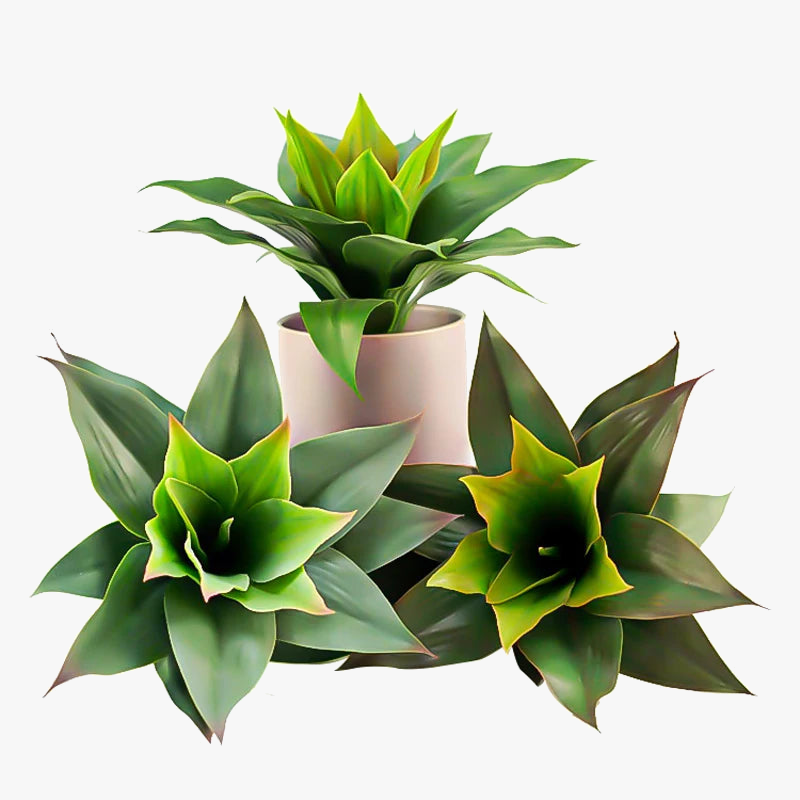 lot-de-2-plantes-succulentes-artificielles-pour-d-coration-int-rieure-et-ext-rieure-0.png