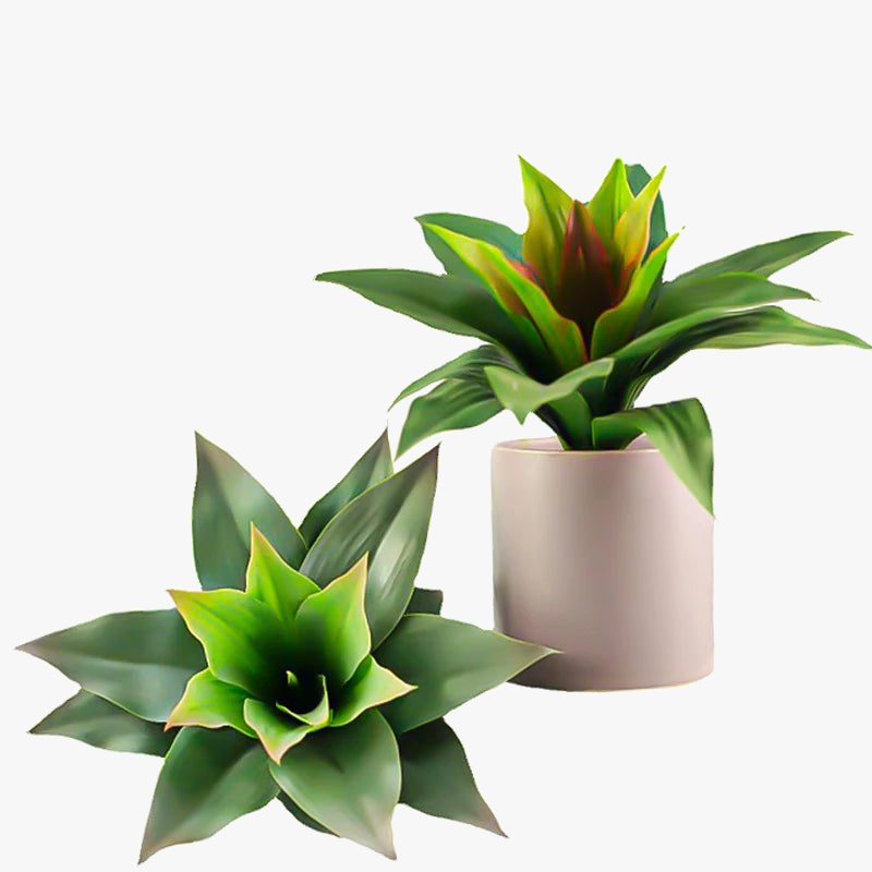 lot-de-2-plantes-succulentes-artificielles-pour-d-coration-int-rieure-et-ext-rieure-5.png