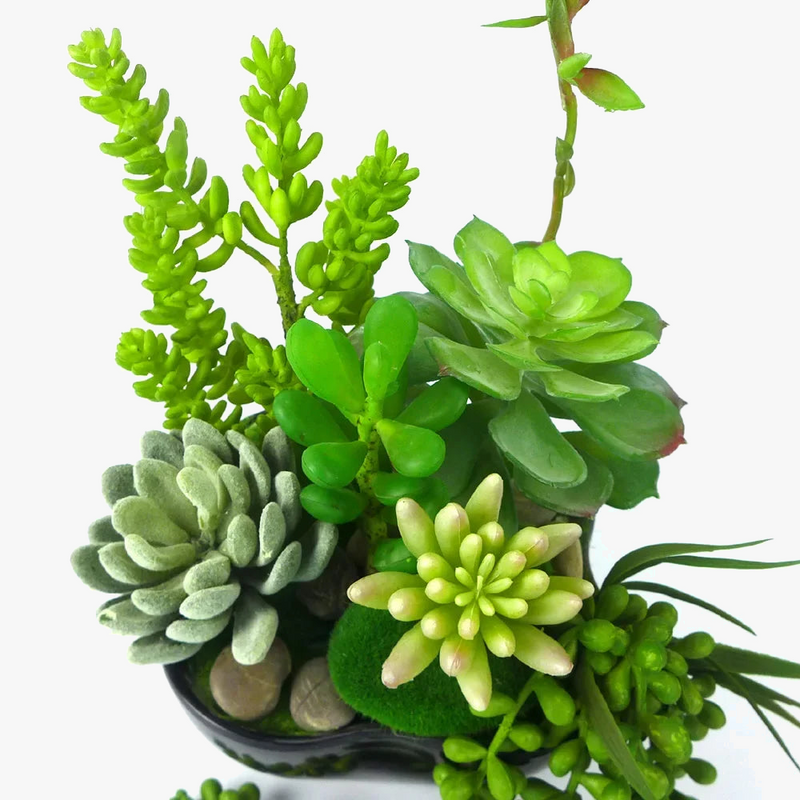 lot-de-6-plantes-succulentes-artificielles-pour-d-coration-et-bricolage-5.png