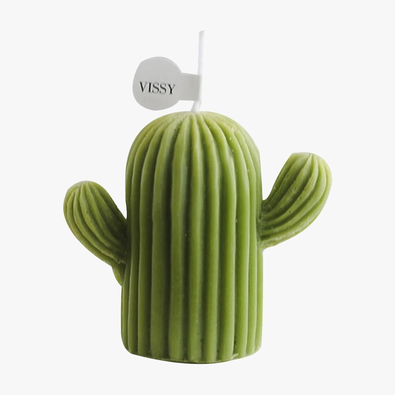 petites-bougies-parfum-es-en-cire-de-cactus-pour-d-coration-int-rieure-7.png