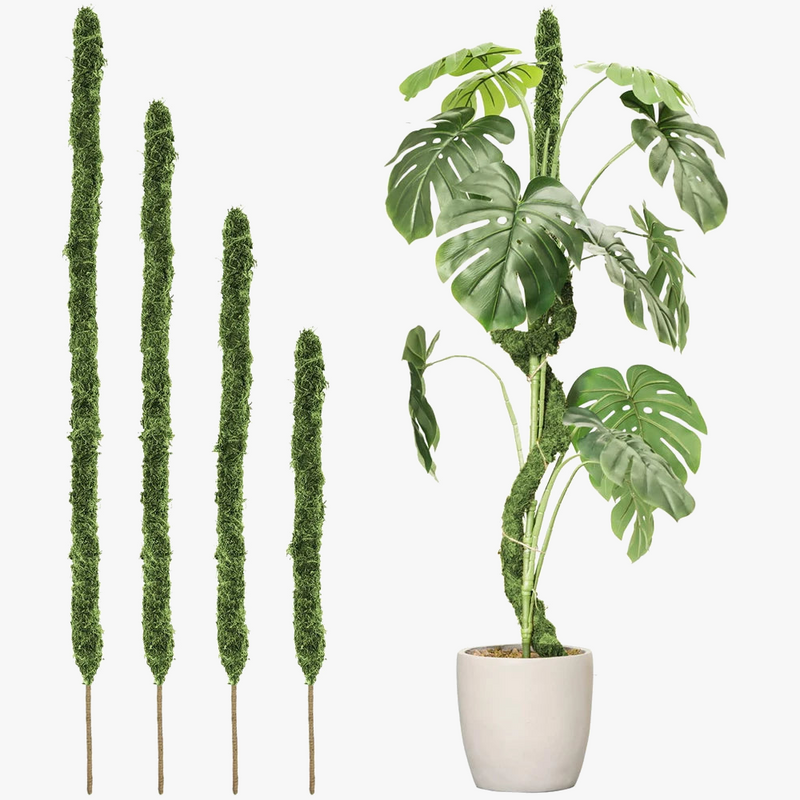 piquets-pliables-en-mousse-faits-main-pour-plantes-monstera-en-gros-1.png