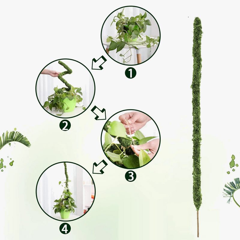 piquets-pliables-en-mousse-faits-main-pour-plantes-monstera-en-gros-2.png