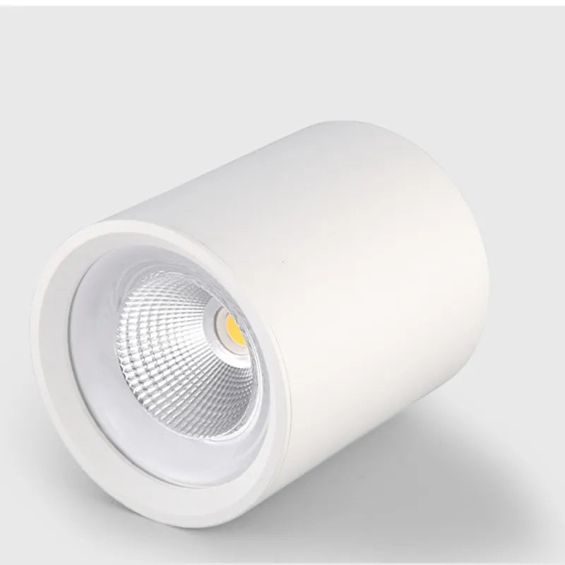 plafonnier-led-dimmable-spot-lumi-re-vers-le-bas-d-coration-2.png