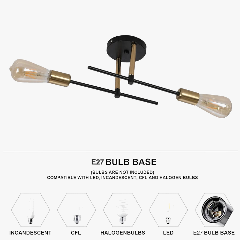 plafonnier-moderne-en-fer-deux-lumi-res-d-coratif-pour-int-rieur-4.png