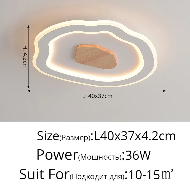 plafonniers-nordiques-modernes-simples-led-cr-atifs-8.png