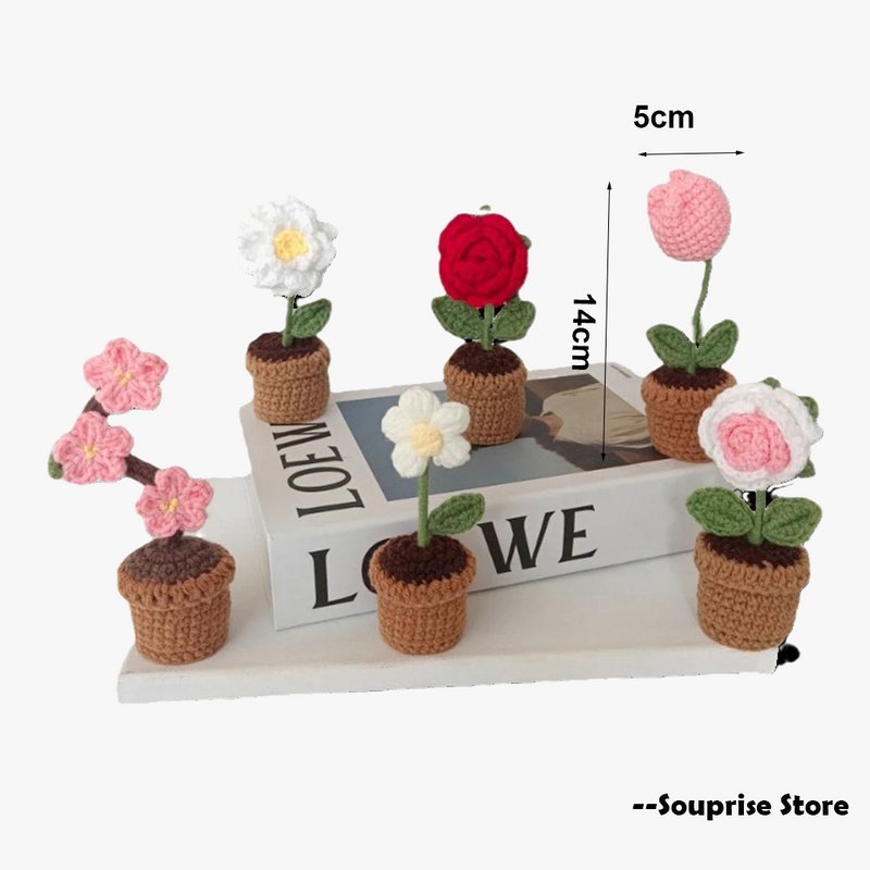 plante-en-pot-tricot-e-la-main-pour-cadeau-d-coratif-de-saint-valentin-5.png