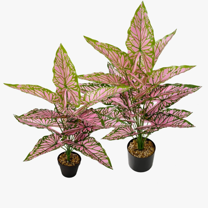 plantes-artificielles-bonsa-pour-d-coration-de-f-te-et-bureau-4.png