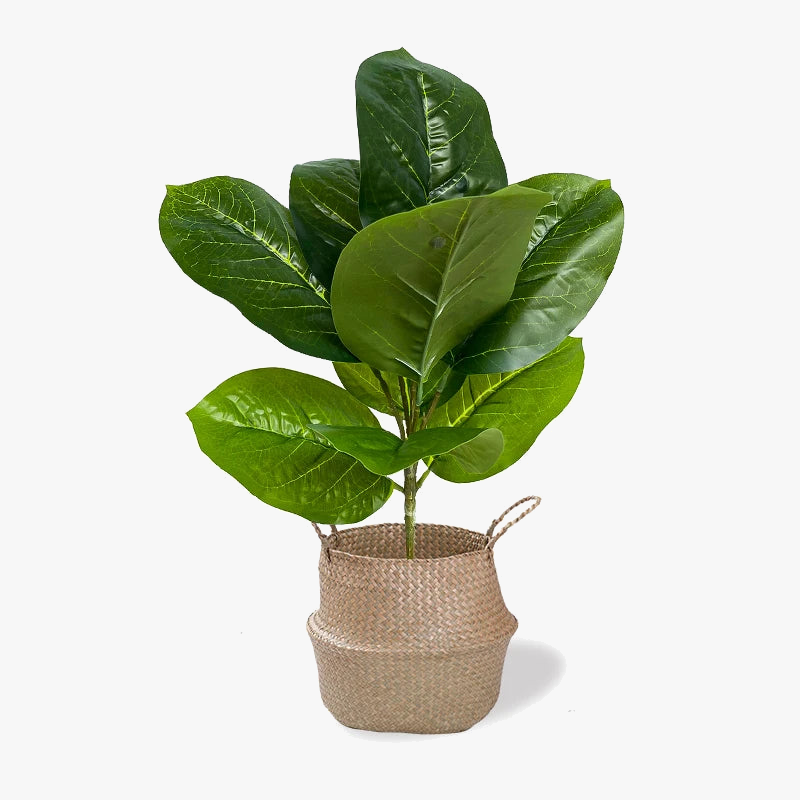 plantes-artificielles-branche-faux-ficus-en-caoutchouc-pour-d-coration-int-rieure-0.png