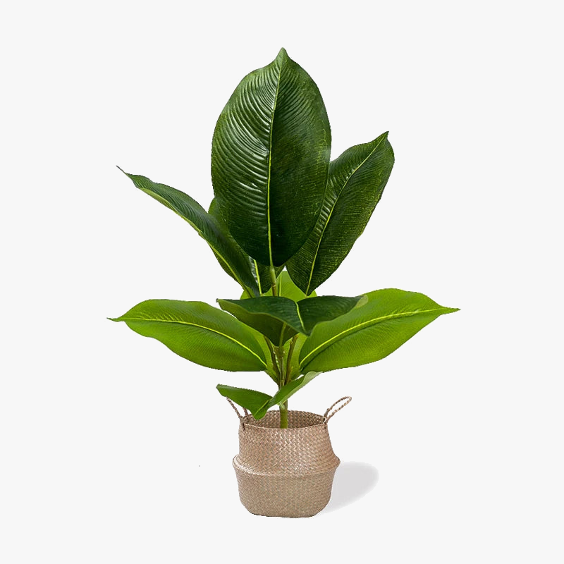 plantes-artificielles-branche-faux-ficus-en-caoutchouc-pour-d-coration-int-rieure-1.png